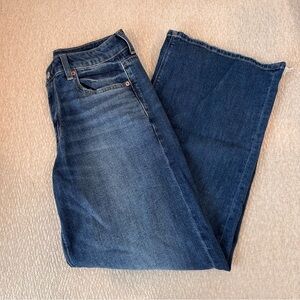 American Eagle Outfitters Dark Blue Jeans